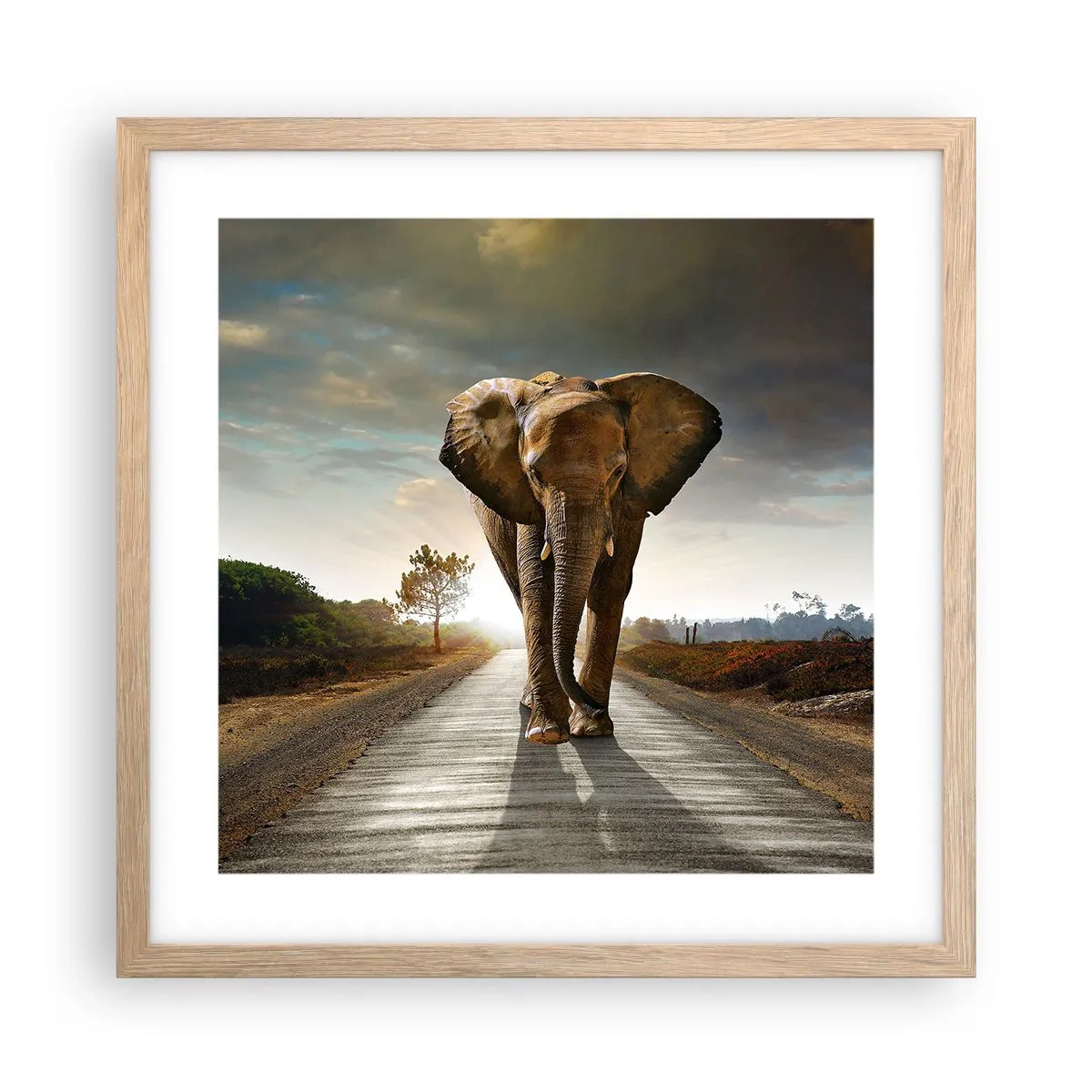 Pôster com moldura de carvalho claro - Não faz parte da composição da porcela - 40x40 cm