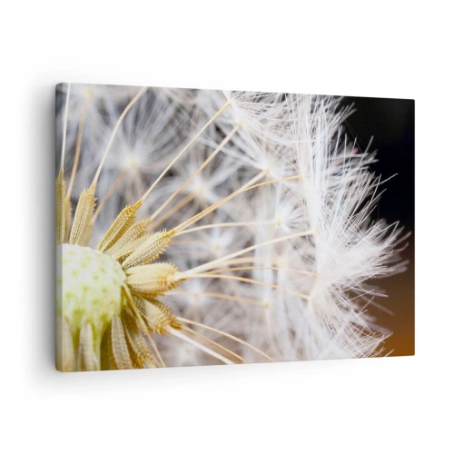 Quadro em tela - Fotografia macro de um dente-de-leão com sementes delicadas - 70x50cm - Pouco antes de partir - Decoração de parede moderna para a sala de estar e quarto ARTTOR