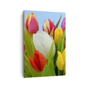 Quadro em tela - Arco-íris floral em gotas de orvalho - 70x100 cm