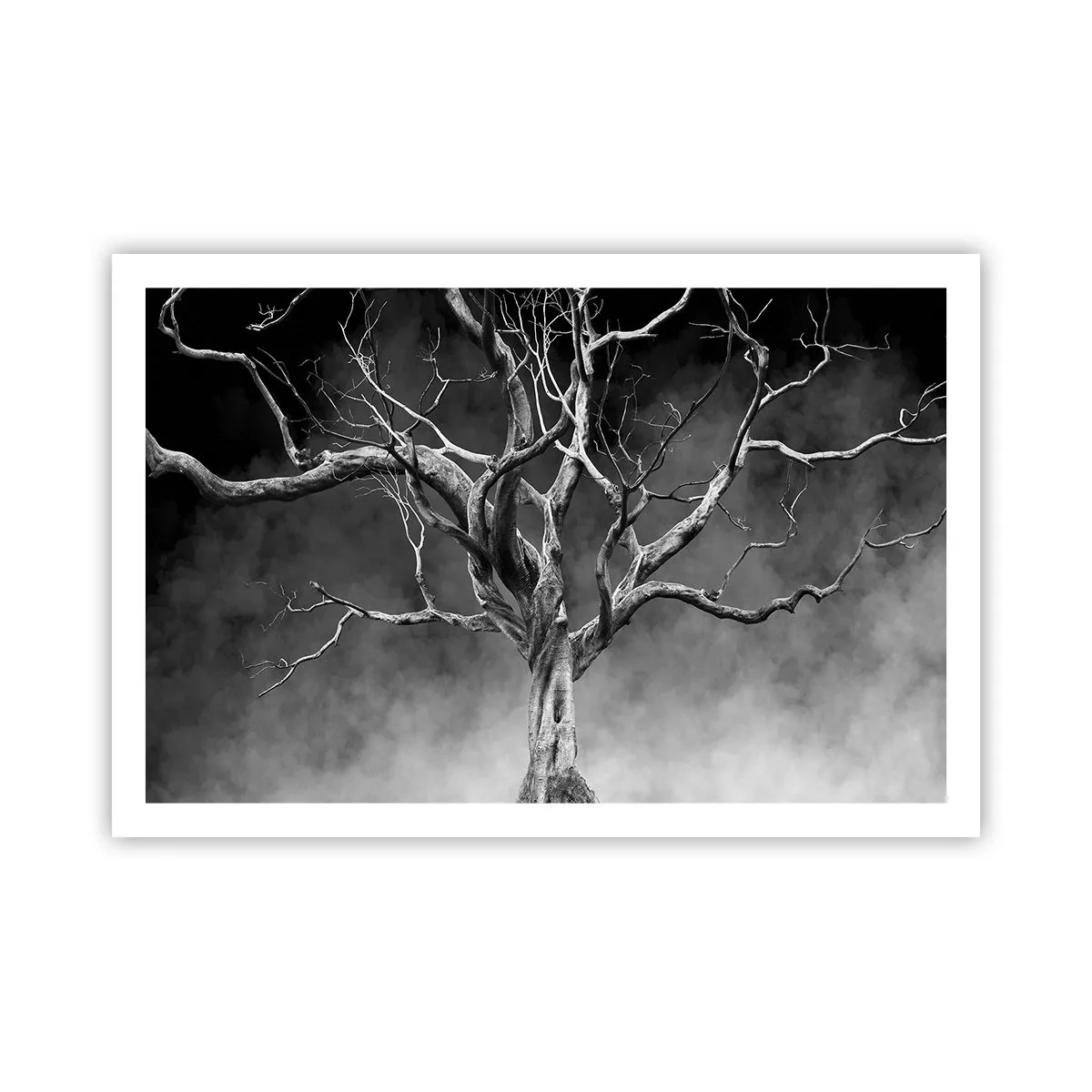 Pôster - Primitivo e sagrado - 91x61 cm