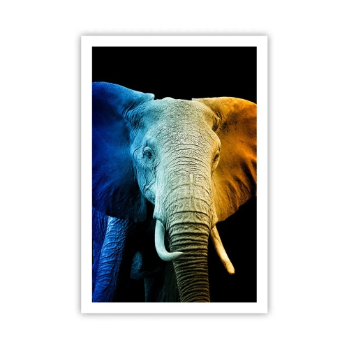 Pôster - Excêntrico, não esquisito - 61x91 cm