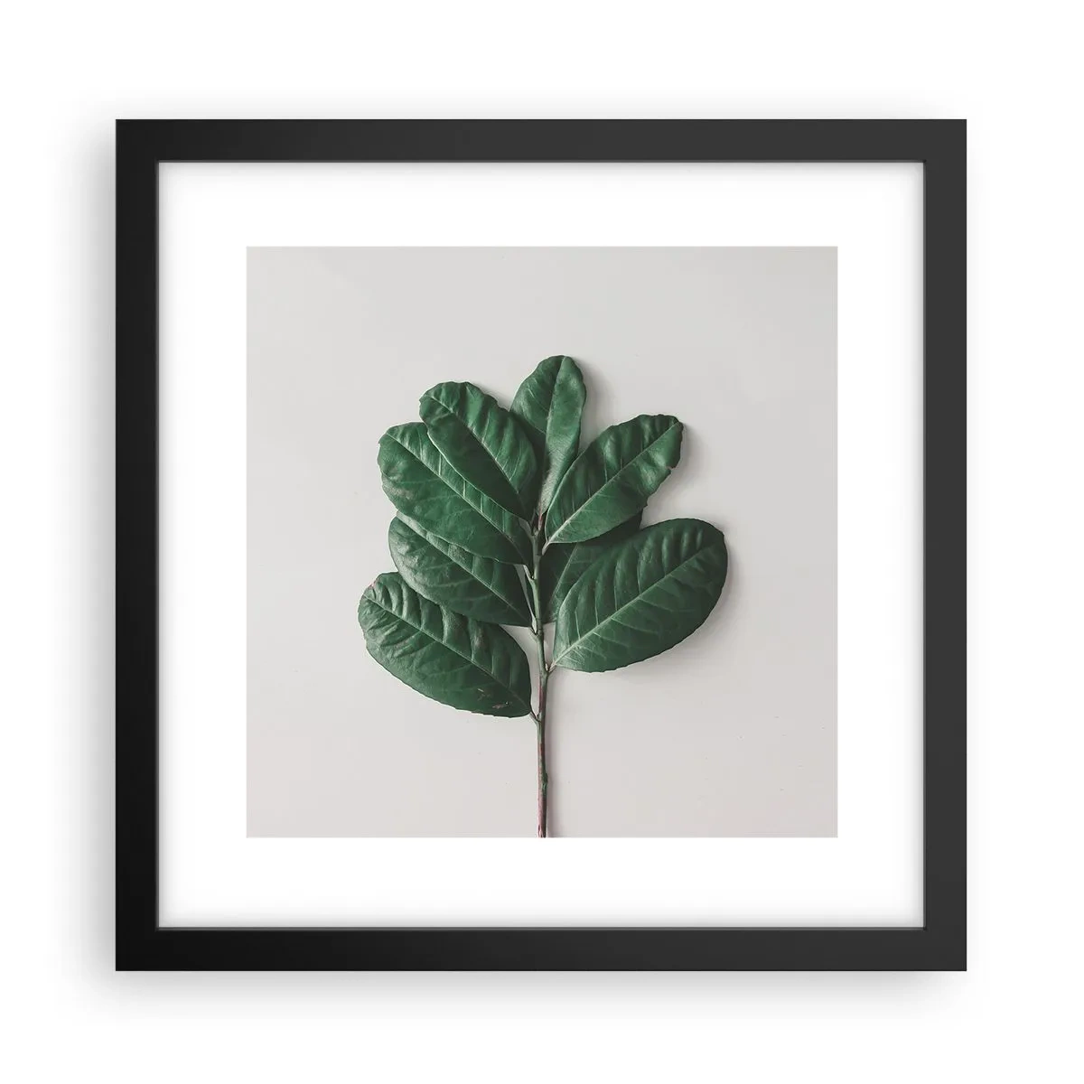 Pôster com moldura preta - Desenho da própria natureza - 30x30 cm