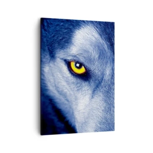 Quadro em tela - Olhar hipnotizante - 50x70 cm