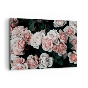 Quadro em tela - Conjuntos de rosas - 100x70 cm