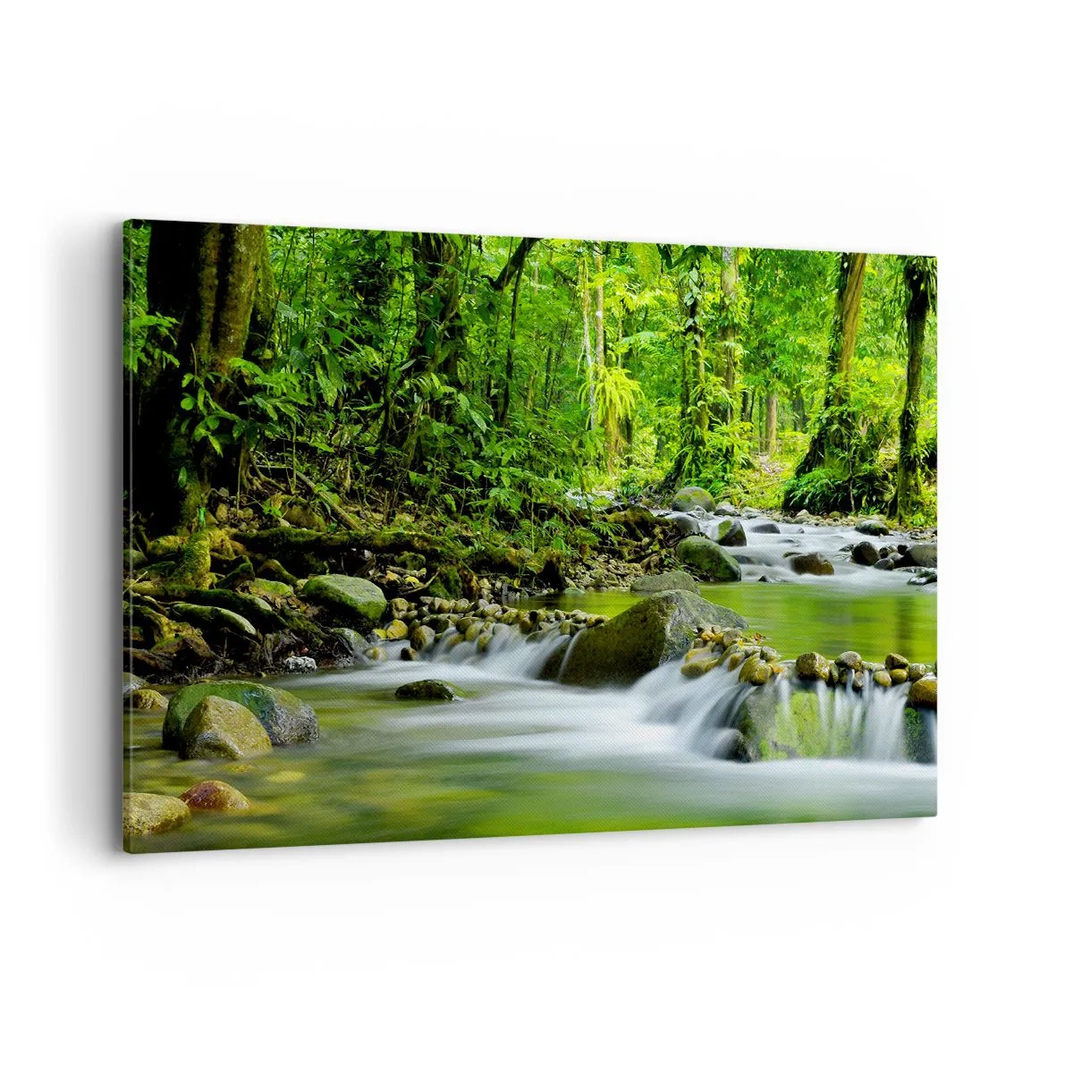Quadro em tela - Navegar no mar de vegetação - 120x80 cm