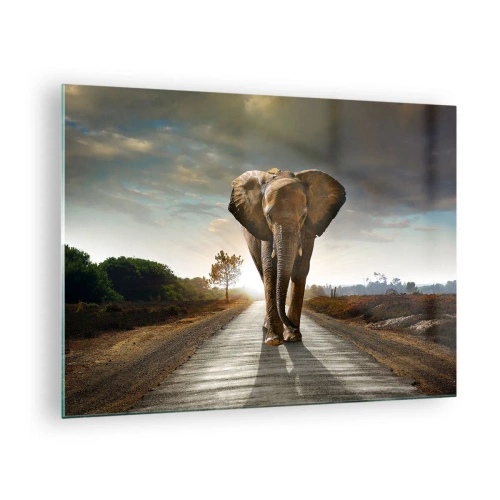 Quadro em vidro - Um elefante caminhando pela estrada ao pôr do sol - 70x50cm - Não faz parte da composição da porcela - Decoração de parede moderna para a sala de estar e quarto ARTTOR