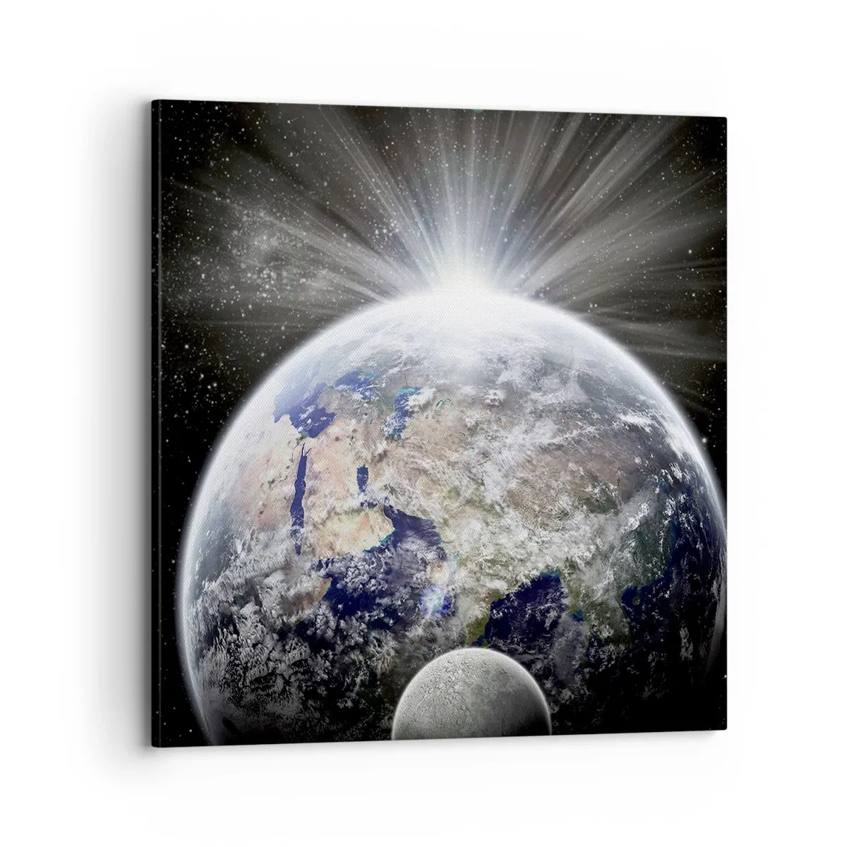 Quadro em tela - Em pleno esplendor - 70x70 cm