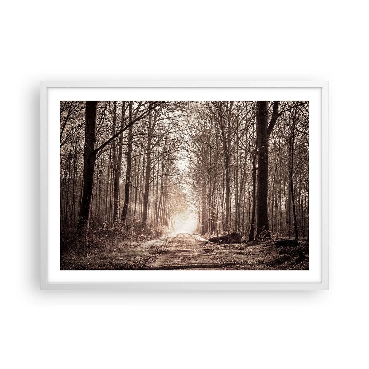 Pôster em moldura branca - Catedral na Floresta - 70x50 cm