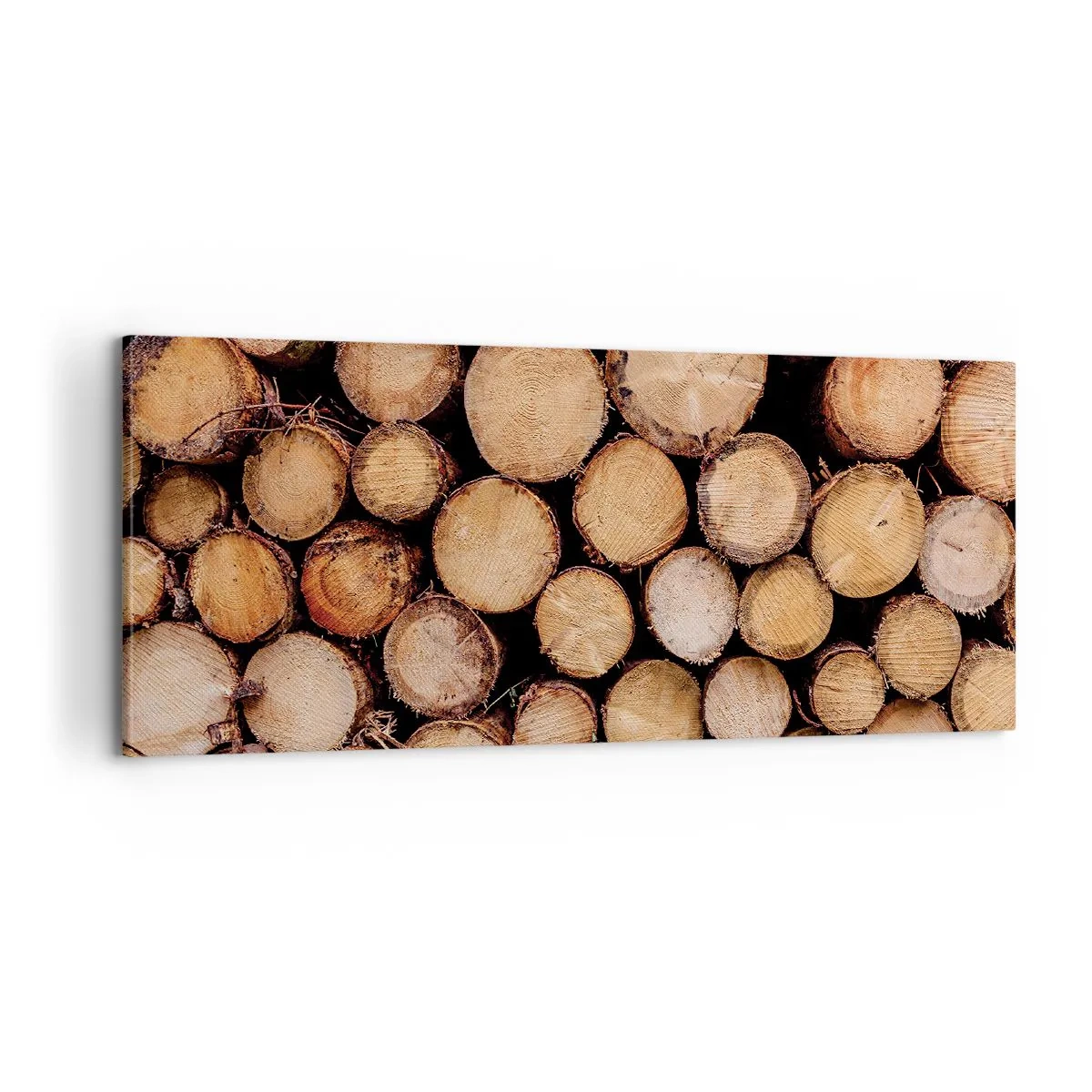 Quadro em tela - Um novo começo - 100x40 cm