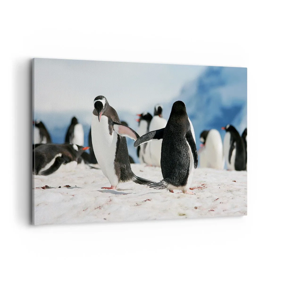 Quadro em tela - Dança na neve - 120x80 cm