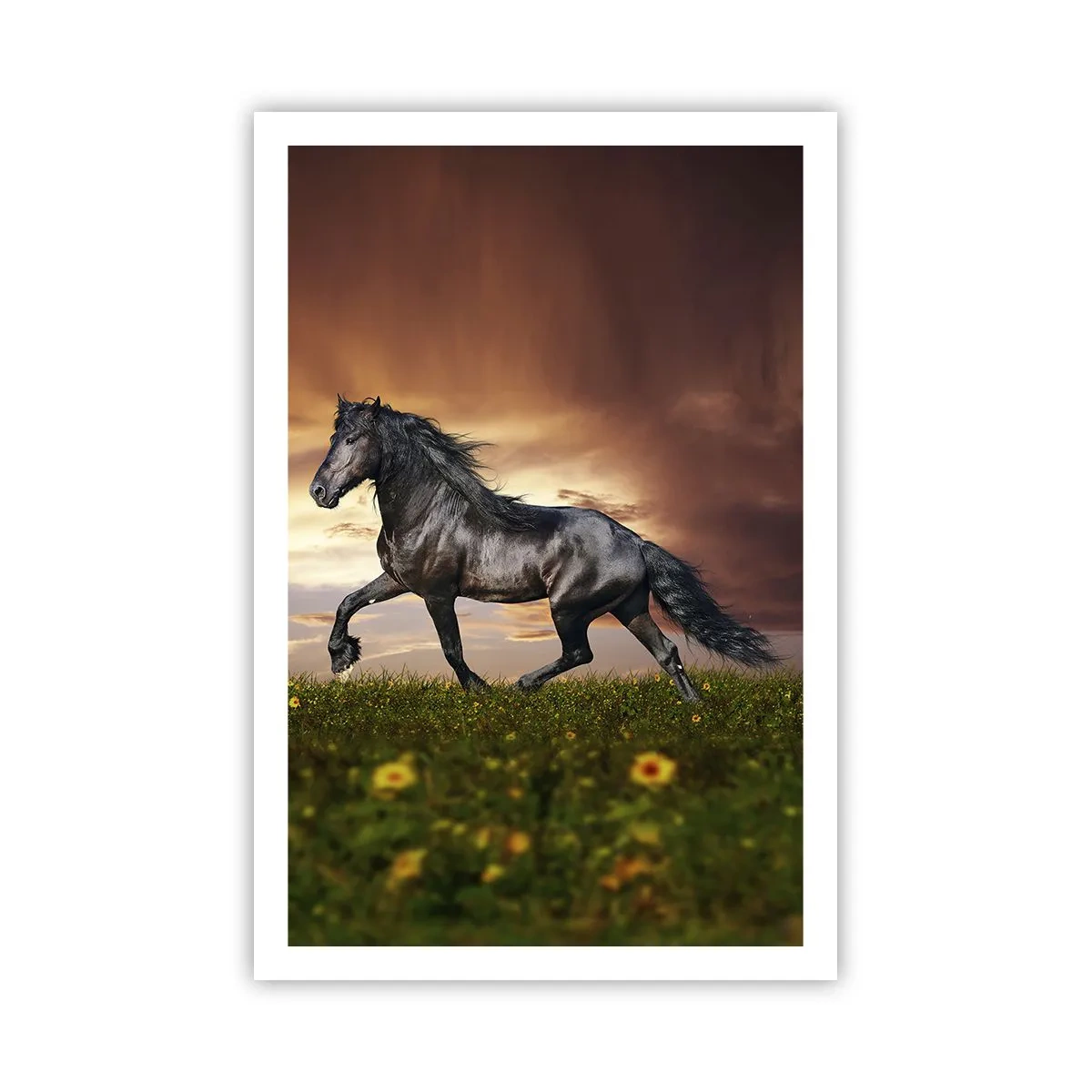 Pôster - O Príncipe Negro - 61x91 cm