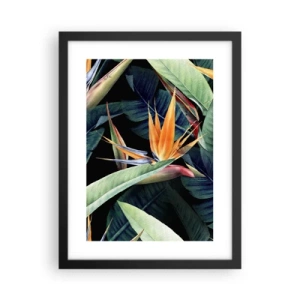Pôster com moldura preta - Flores ardentes dos trópicos - 30x40 cm