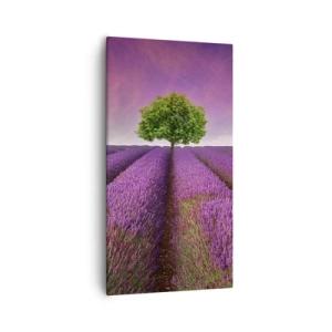 Quadro em tela - Nos campos de lavanda - 55x100 cm