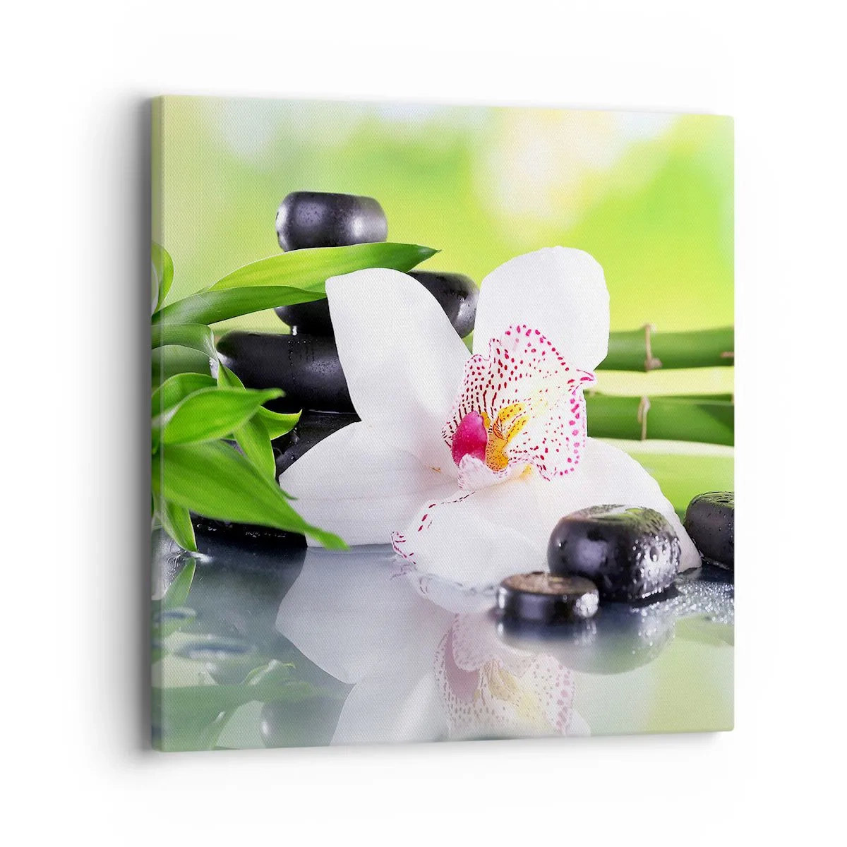 Quadro em tela - Frescor e vigor - 40x40 cm