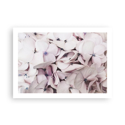 Pôster - Em uma inundação de flores - 70x50 cm
