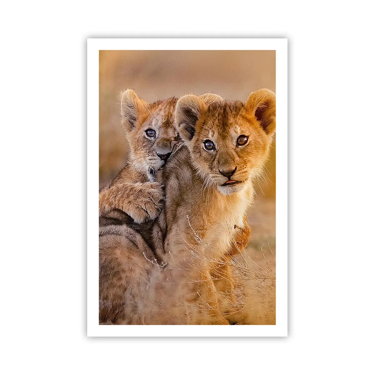 Pôster - Não perturbe! Estamos a divertir-nos - 61x91 cm