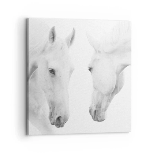 Quadro em tela - Será amizade...? - 70x70 cm