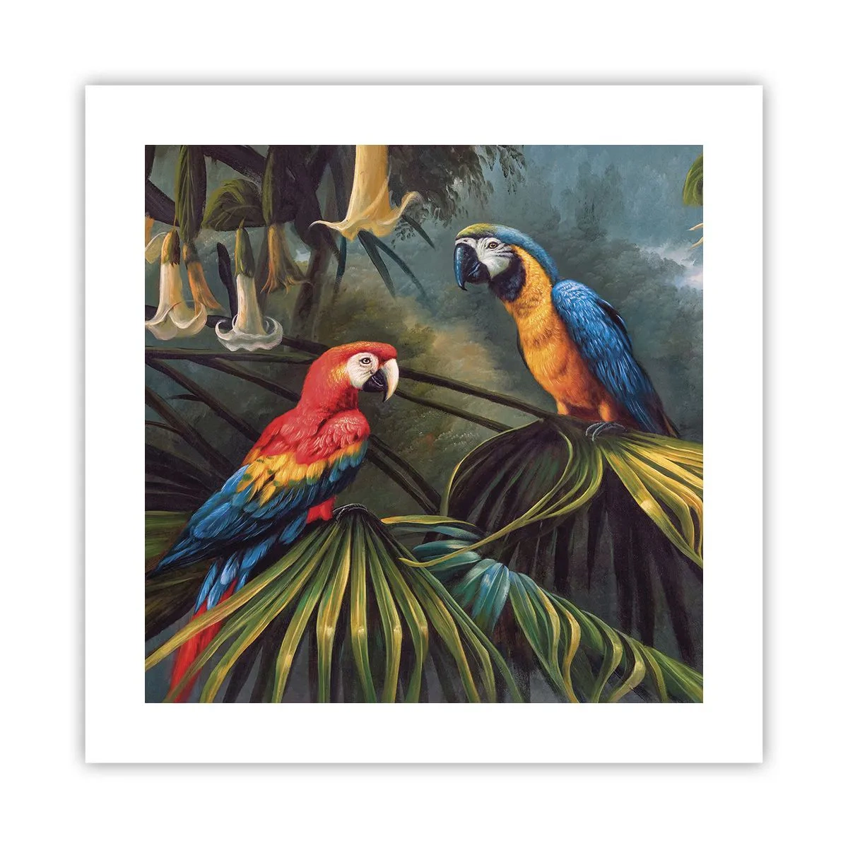 Pôster - Romantismo nos trópicos - 40x40 cm