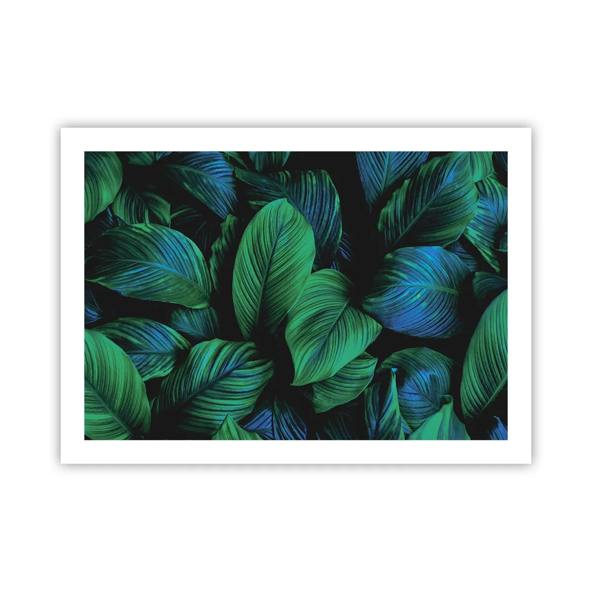 Pôster - Na multidão verde - 70x50 cm