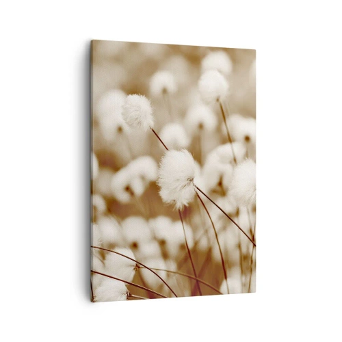 Quadro em tela - Campos felpudos - 50x70 cm