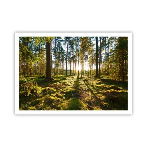 Pôster - ...Além das sete florestas - 100x70 cm