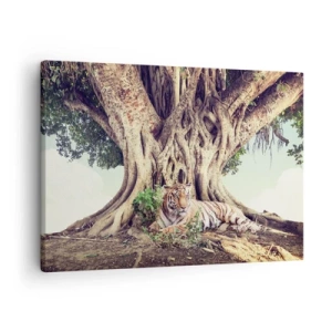 Quadro em tela - Um tigre descansando sob uma árvore frondosa - 70x50cm - Vista do livro de Gênesis - Decoração de parede moderna para a sala de estar e quarto ARTTOR