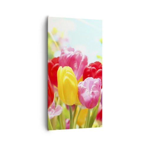 Quadro em tela - Somos nós, as cores de maio! - 65x120 cm