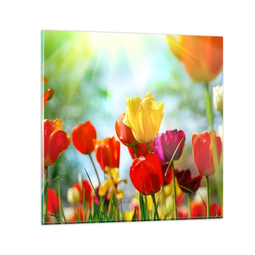 Quadro em vidro - Todas as cores do sol - 70x70 cm