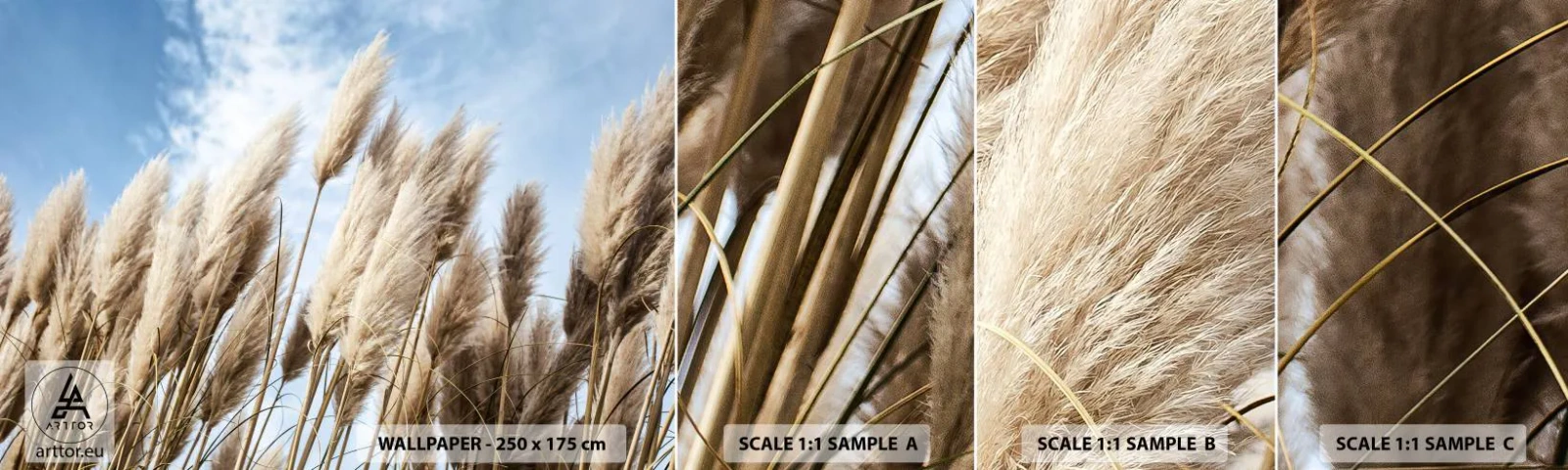 Amostra de papel de parede autocolante Deluxe Sticker - Carícia ensolarada e ventosa - Grama dos Pampas, Natureza, Boho - 100x30 cm