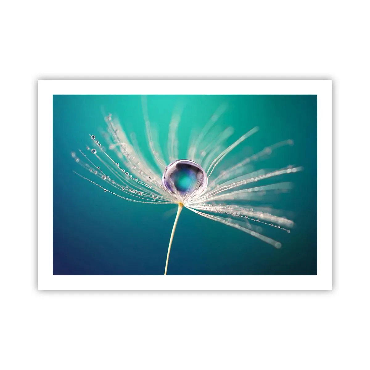 Pôster - Momento místico - 70x50 cm