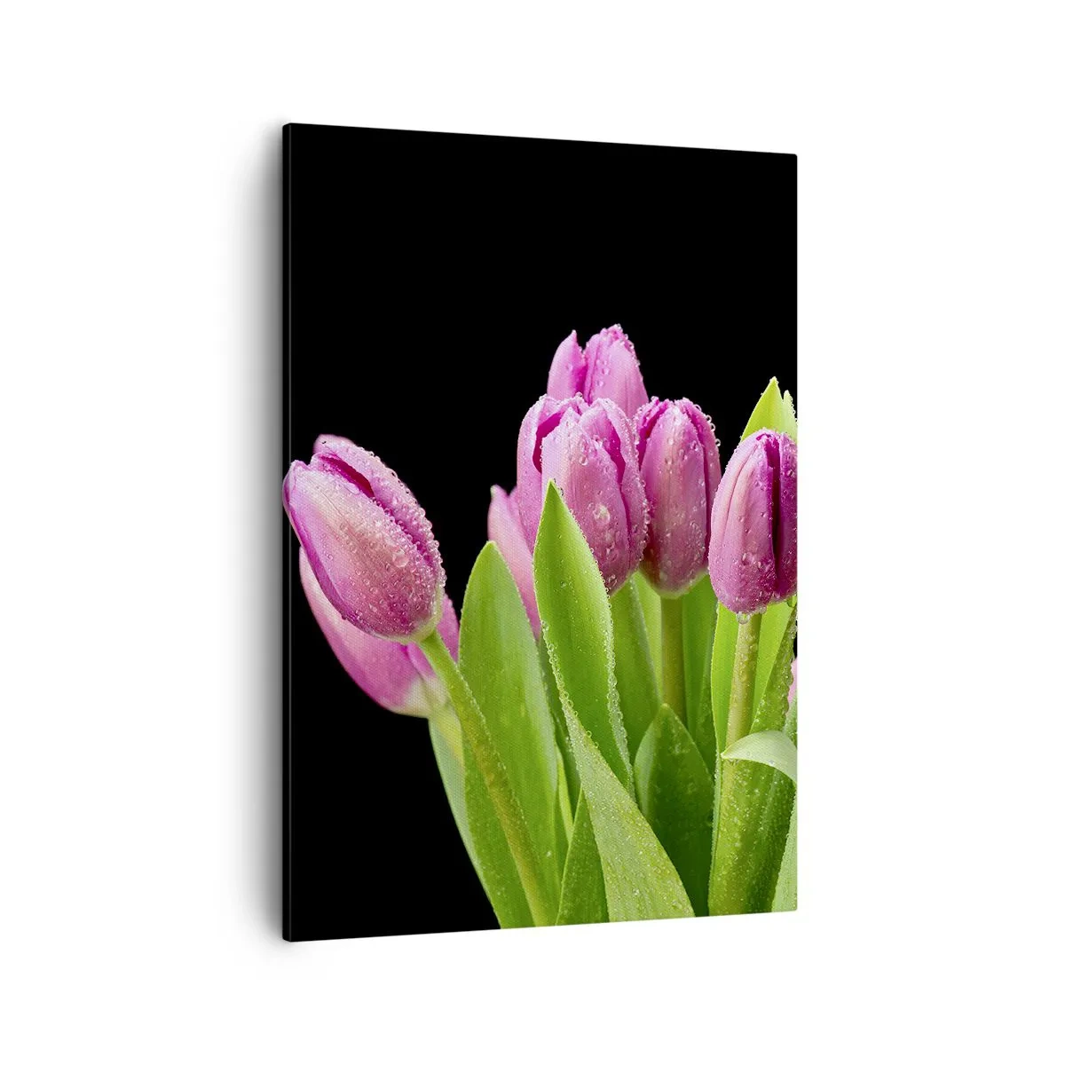 Quadro em tela - Alegria lilás da primavera - 50x70 cm