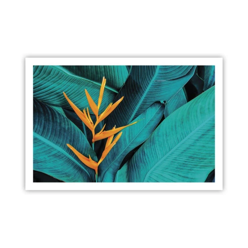 Pôster - Flor do Éden - 91x61 cm