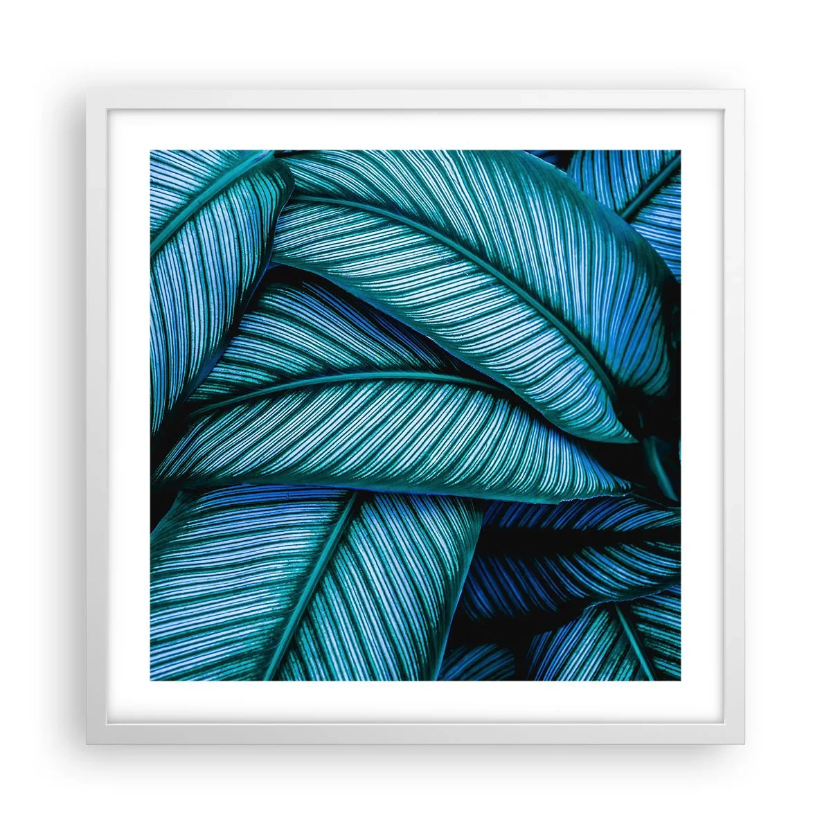 Pôster em moldura branca - Linhas de vida - 50x50 cm