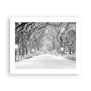 Pôster - Quatro estações - inverno - 50x40 cm