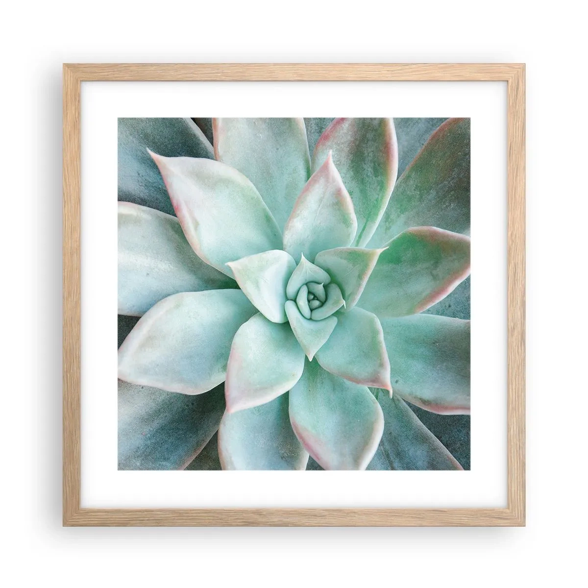 Pôster com moldura de carvalho claro - O coração do deserto - 40x40 cm