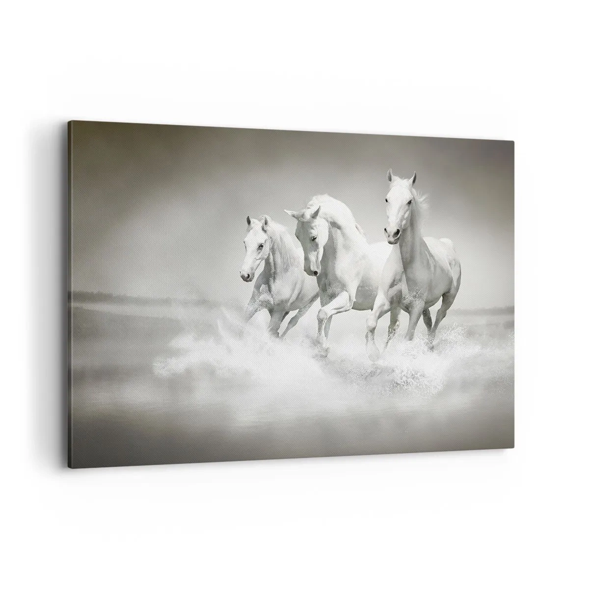 Quadro em tela - Loucura branca - 100x70 cm