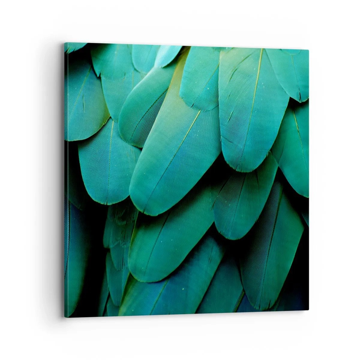 Quadro em tela - Precisão de papagaio - 70x70 cm