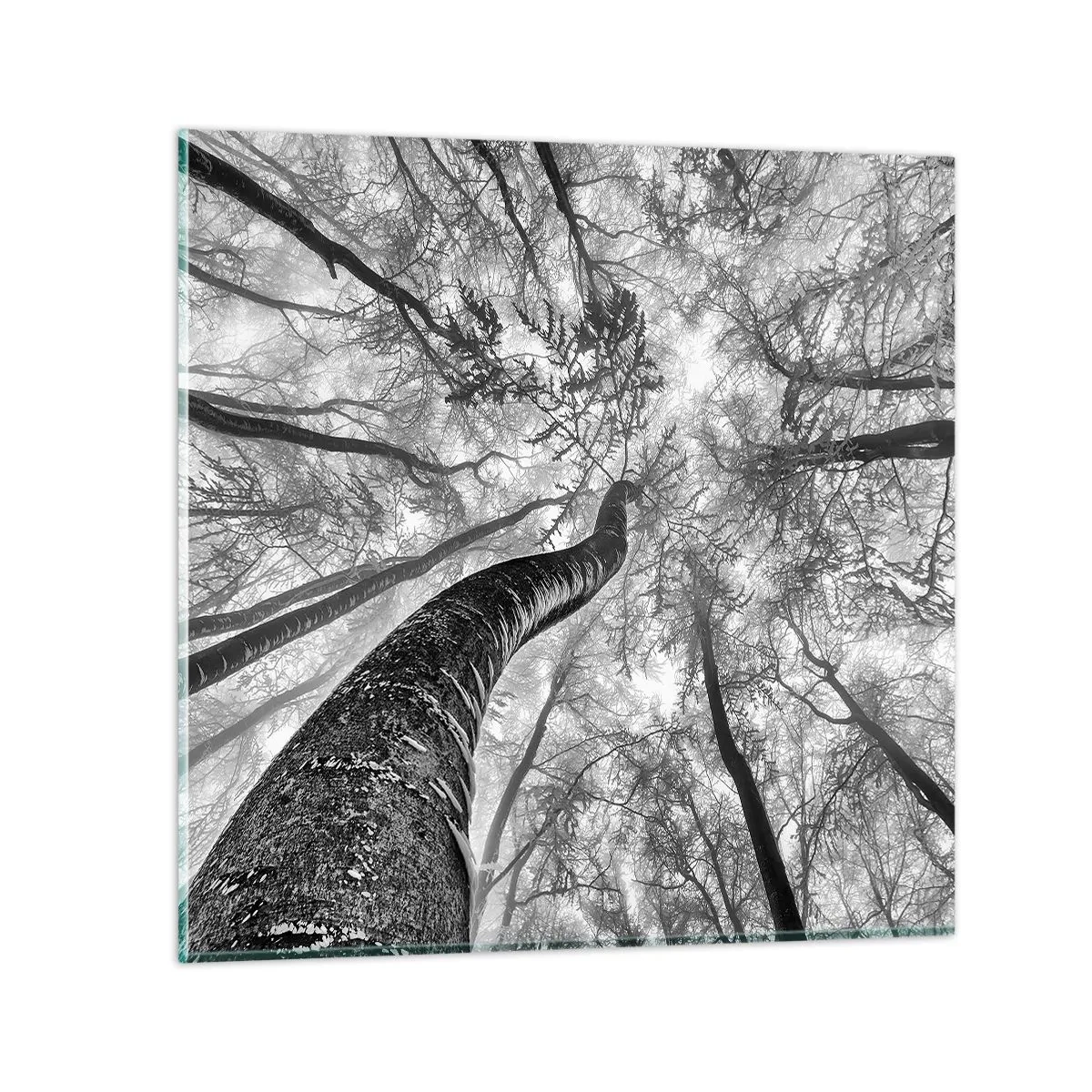 Quadro em vidro - Corrida até a luz - 40x40 cm