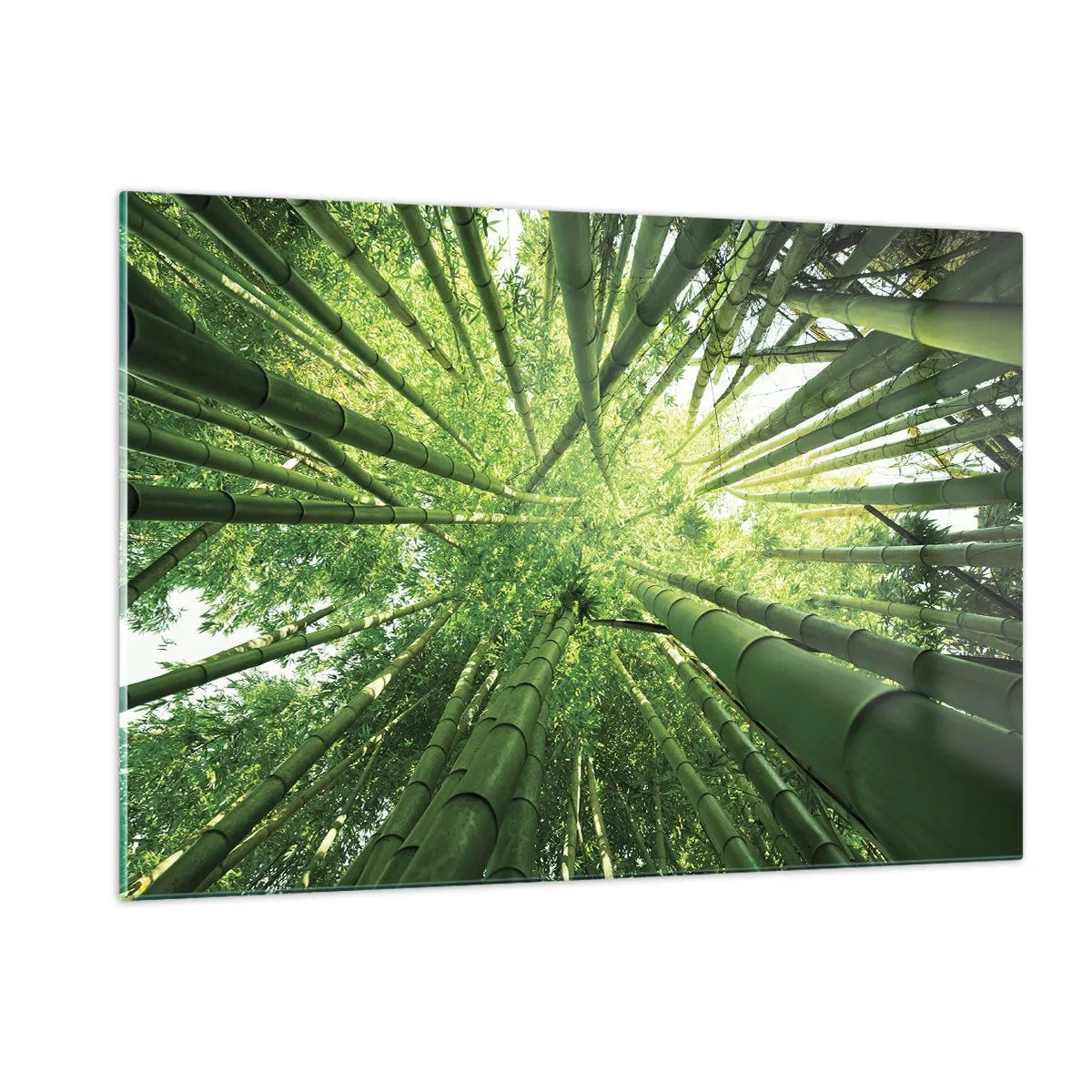 Quadro em vidro - Em um bosque de bambu - 120x80 cm
