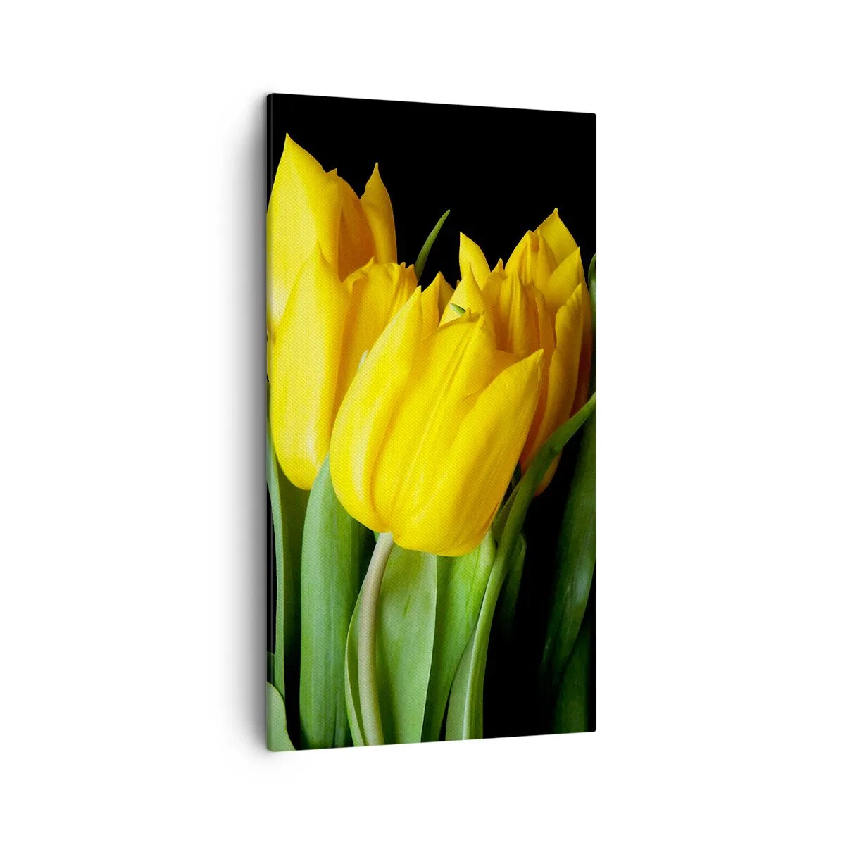 Quadro em tela - Feitas a partir do sol - 45x80 cm