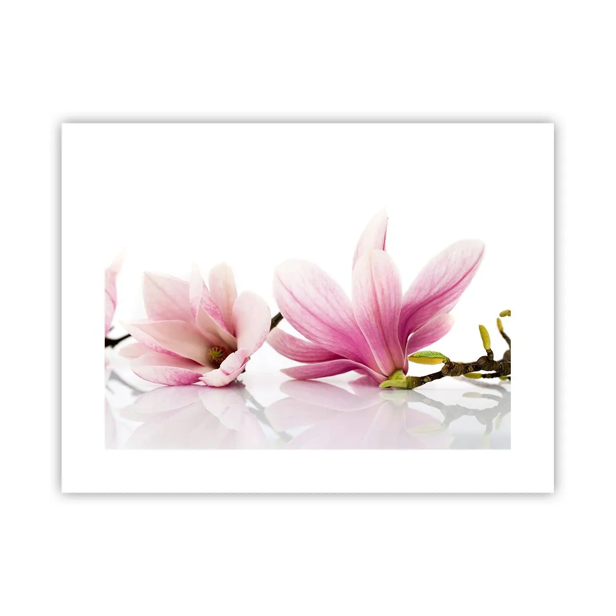 Pôster - Suave como um sopro de primavera - 40x30 cm