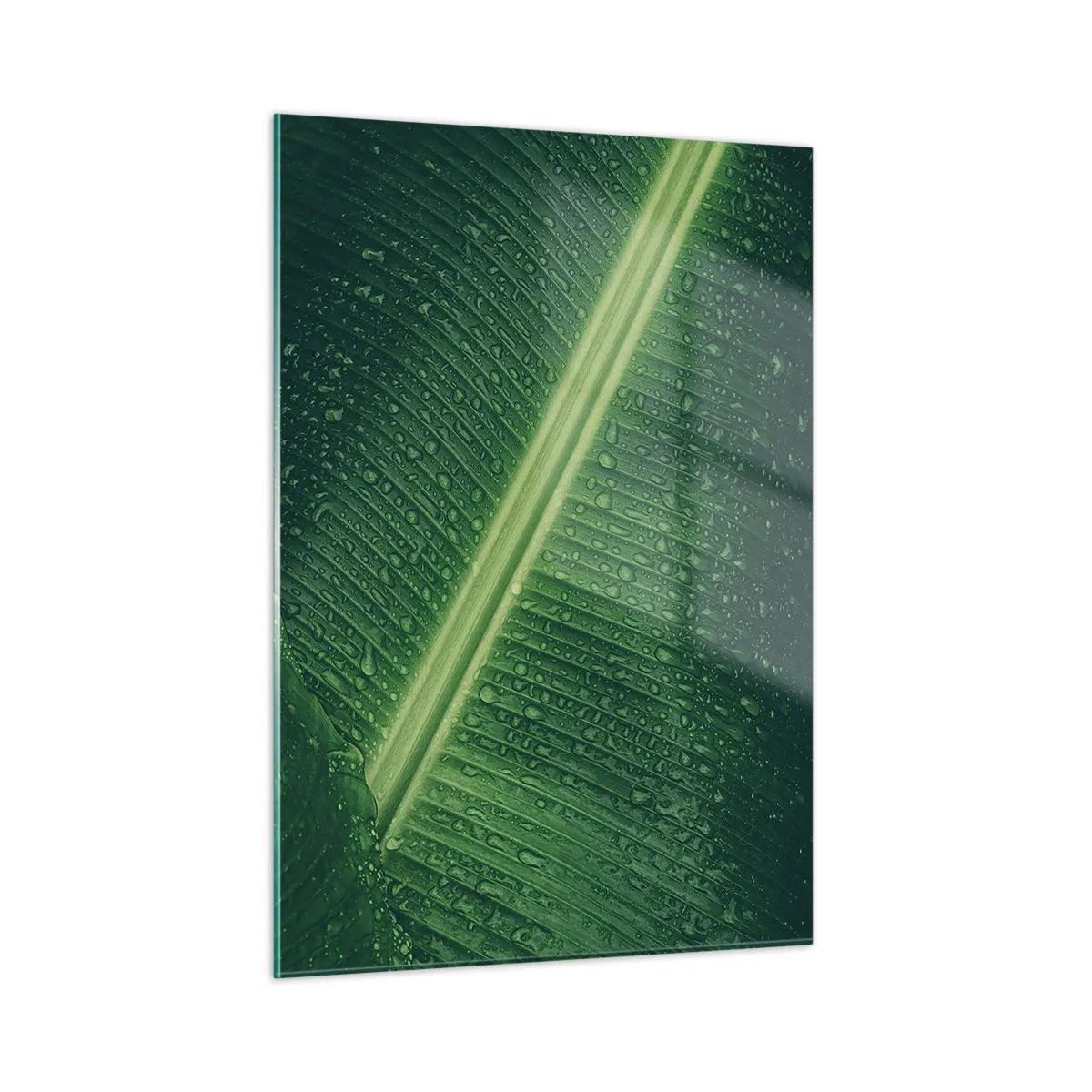 Quadro em vidro - A estrutura da vegetação - 50x70 cm