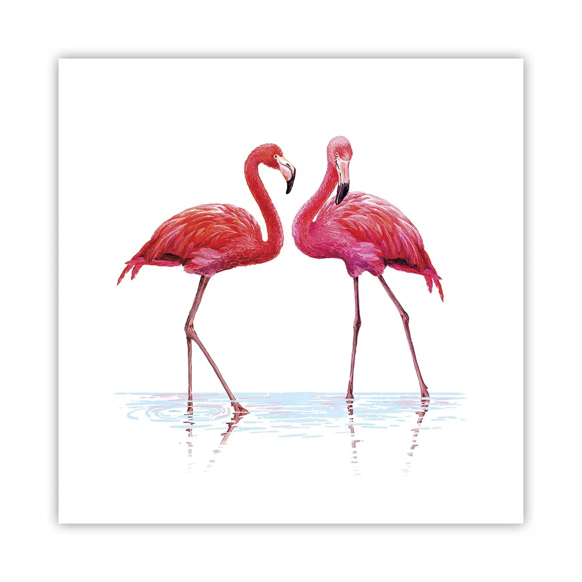 Pôster - Rosa randez-vous - 40x40 cm