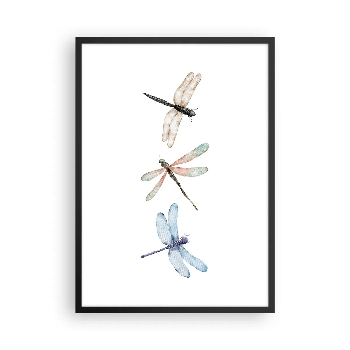 Pôster com moldura preta - Três libélulas pintadas em aquarela - 50x70cm - Libélulas sem peso - Decoração de parede moderna para a sala de estar e quarto ARTTOR