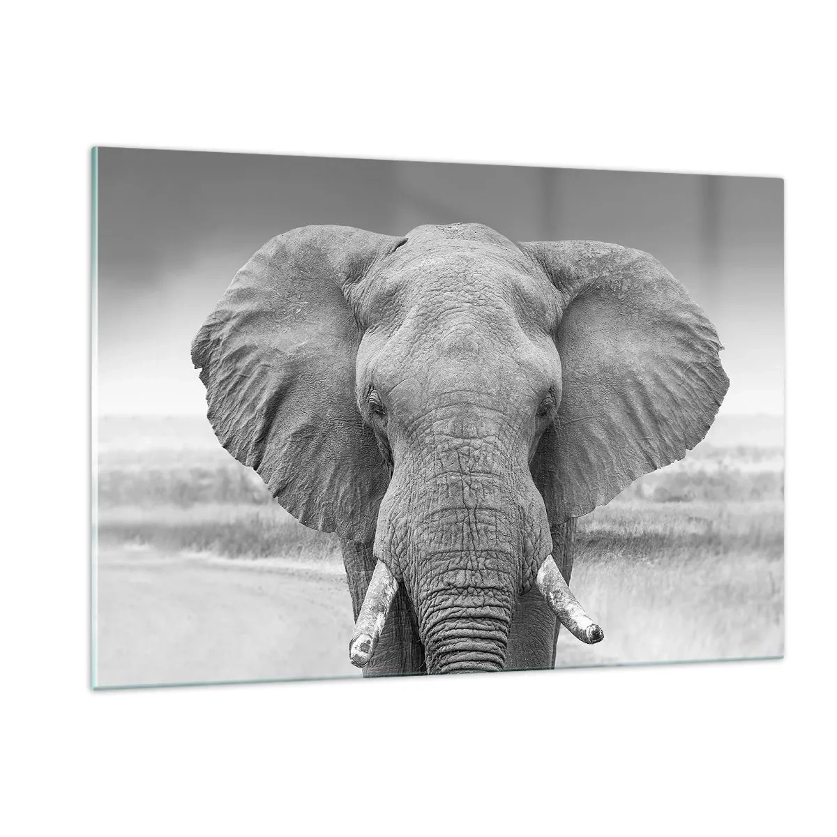 Quadro em vidro - Bem-vindo ao meu mundo - 120x80 cm