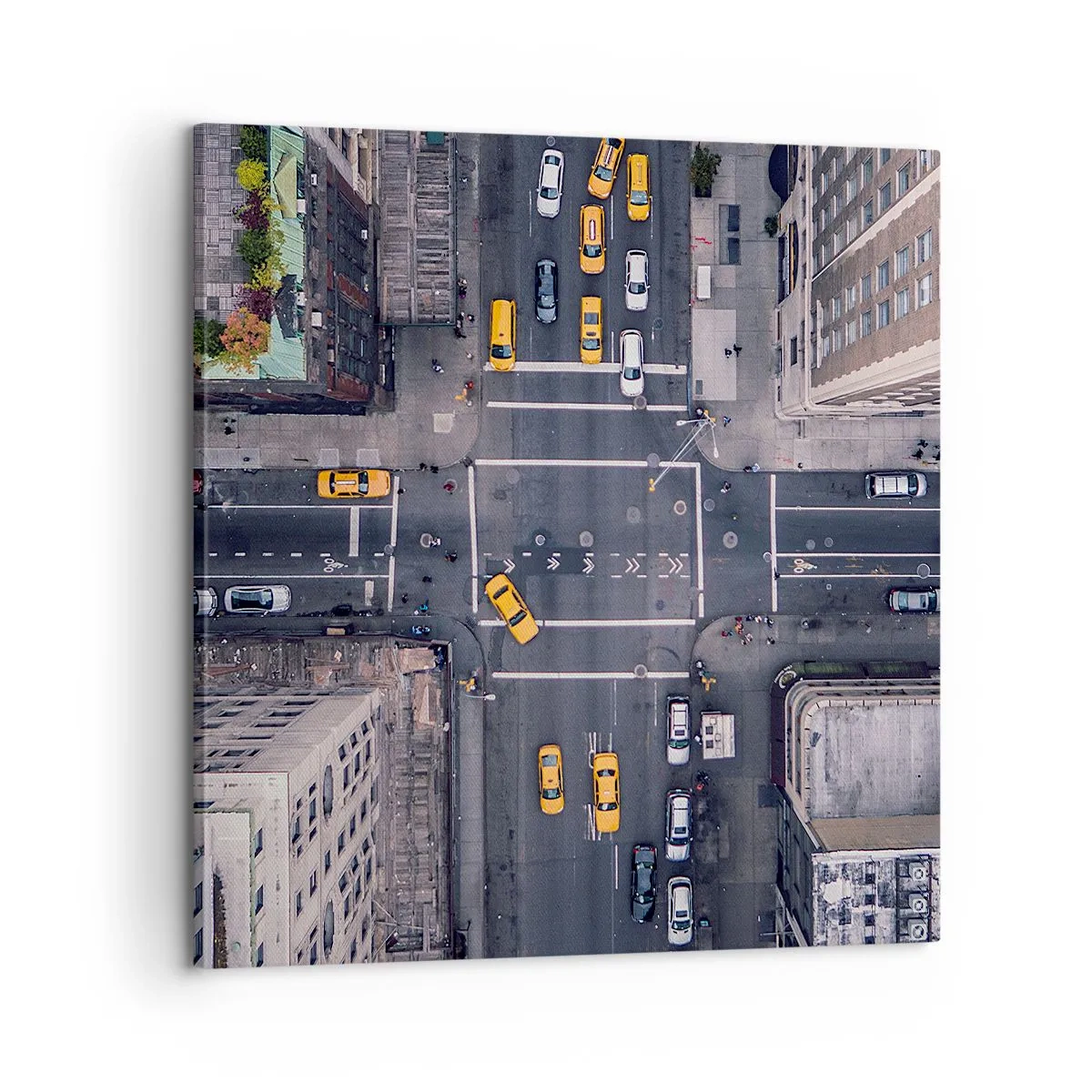 Quadro em tela - Escolha simples - 60x60 cm