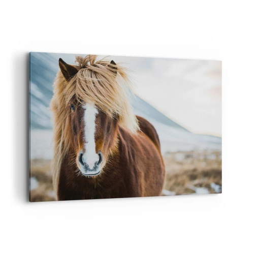 Quadro em tela - Sentes a liberdade? - 100x70 cm