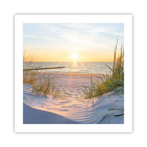 Pôster - O som do mar, o canto dos pássaros, a praia selvagem entre a relva... - 50x50 cm