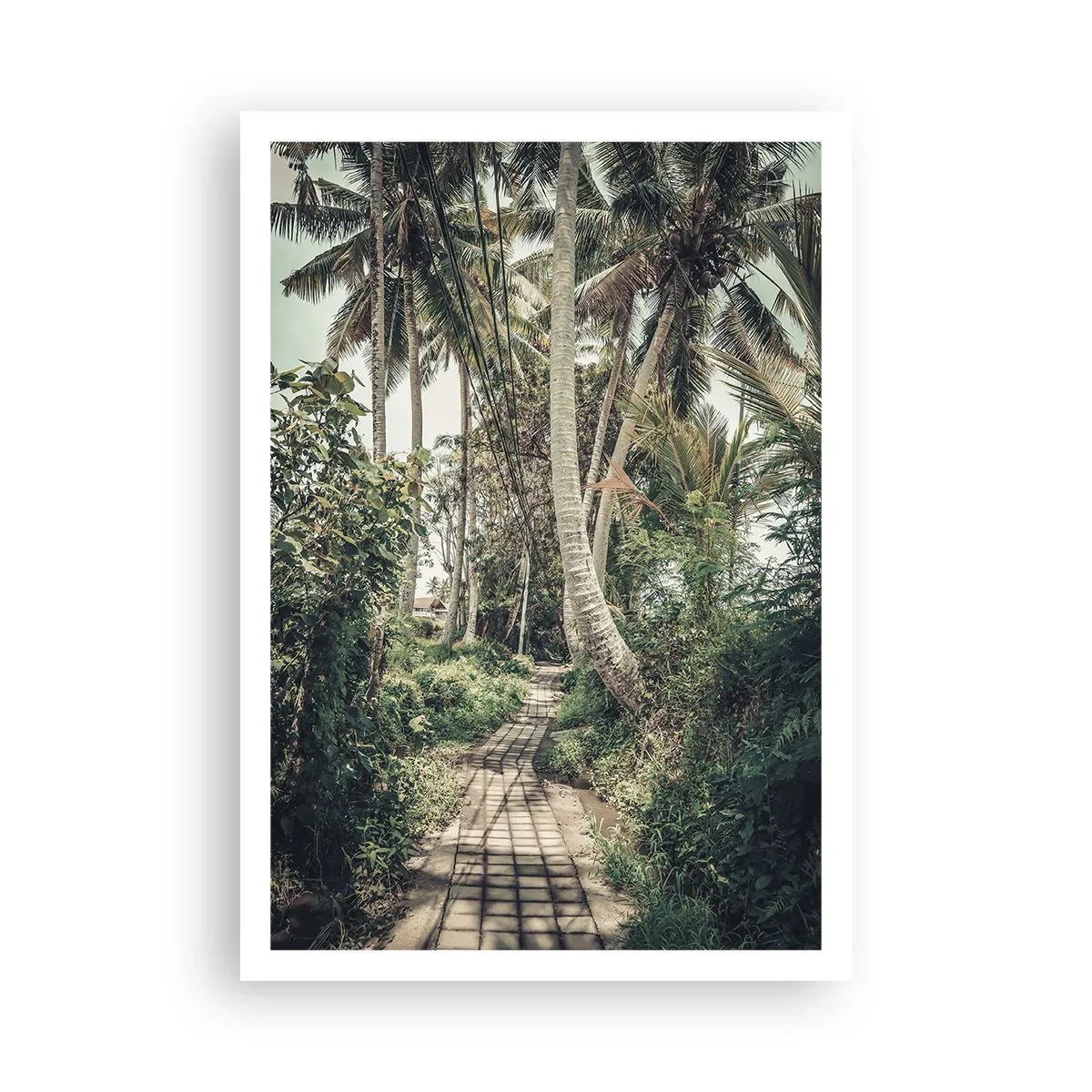 Pôster - Beco das palmeiras - 70x100 cm