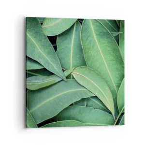 Quadro em tela - Suculentas e frescas - 70x70 cm